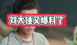 刘大锤最新爆料亲嘴,娱乐圈新恋情曝光，神秘情侣亲密互动引热议